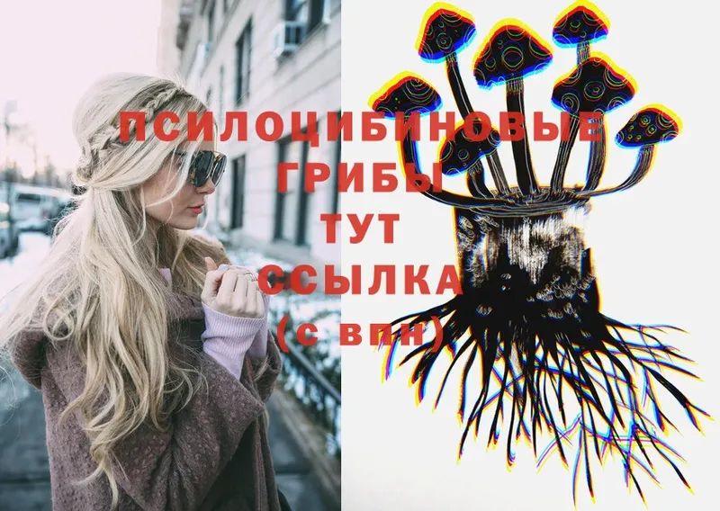 hydra сайт  Кремёнки  Галлюциногенные грибы Psilocybe 